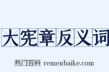 大宪章反义词是什么意思的图片